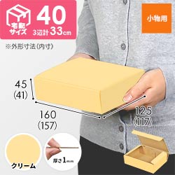 【クリーム色】厚さ4.5cm・N式ケース（157×117×41mm・定形外郵便）