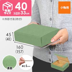 【青菜色】厚さ4.5cm・N式ケース（157×117×41mm・定形外郵便）