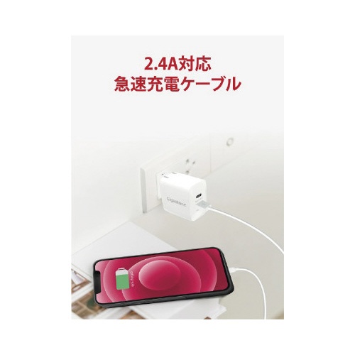 【廃番商品】Ｌｉｇｈｔｎｉｎｇケーブル充電専用９０ｃｍ