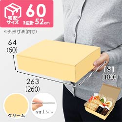 【クリーム色】宅配60サイズ・N式ケース（260×180×60mm・はっ水加工なし）