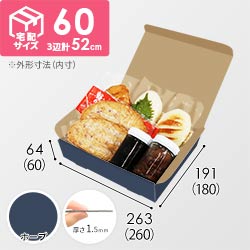 【青色・ホープ】宅配60サイズ・N式ケース（260×180×60mm・はっ水加工なし）