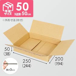 【薄型】宅配60サイズ・ダンボール箱（244×194×38mm）
