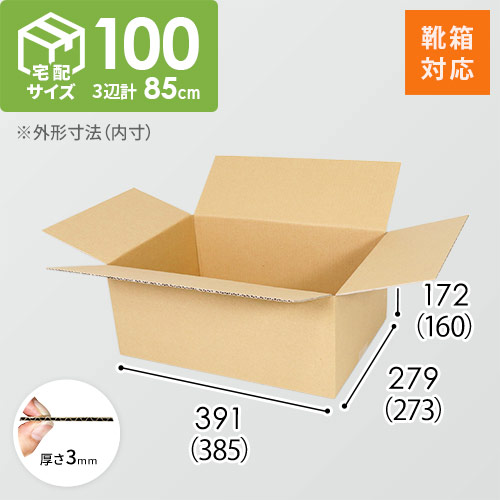 【靴用】宅配100サイズ・ダンボール箱（385×273×160mm）