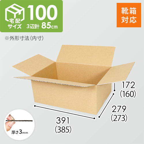 【靴用】宅配100サイズ・ダンボール箱（385×273×160mm）