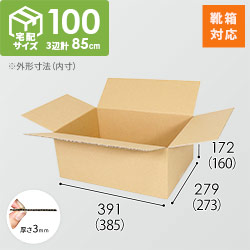 【靴用】宅配100サイズ・ダンボール箱（385×273×160mm）