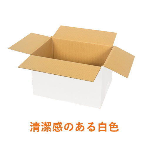 【白色】宅配60サイズ・ダンボール箱（A5サイズ）