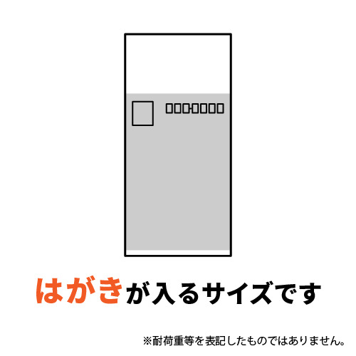【特別価格】ポリエチレン規格袋 6号 (幅100×高さ210mm) 0.03mm厚