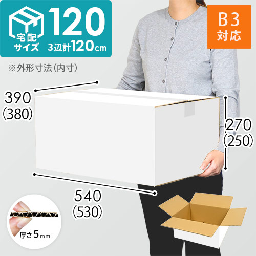 【白色】宅配120サイズ・ダンボール箱（B3サイズ）