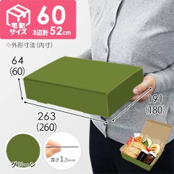 【グリーン色】宅配60サイズ・N式ケース（260×180×60mm・はっ水加工なし）