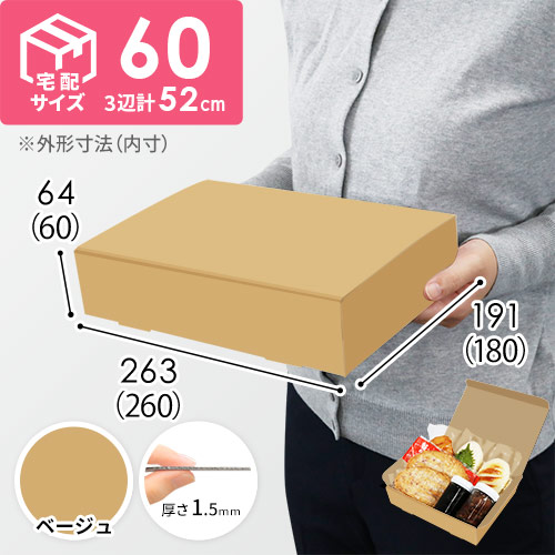 【ベージュ色】宅配60サイズ・N式ケース（260×180×60mm・はっ水加工なし）