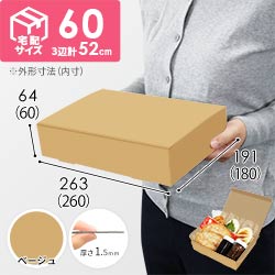 【ベージュ色】宅配60サイズ・N式ケース（260×180×60mm・はっ水加工なし）