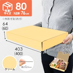 【クリーム色】宅配80サイズ・N式ケース（400×280×60mm・はっ水加工なし）