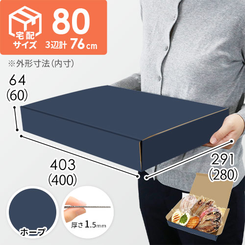 【青色・ホープ】宅配80サイズ・N式ケース（400×280×60mm・はっ水加工なし）