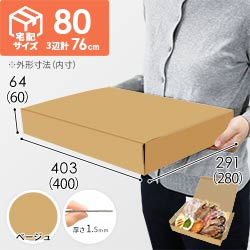 【ベージュ色】宅配80サイズ・N式ケース（400×280×60mm・はっ水加工なし）