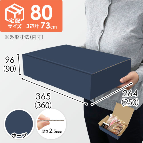 【青色・ホープ】宅配80サイズ・N式ケース（360×250×90mm・はっ水加工なし）