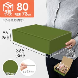 【グリーン色】宅配80サイズ・N式ケース（360×250×90mm・はっ水加工なし）