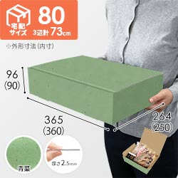 【青菜色】宅配80サイズ・N式ケース（360×250×90mm・はっ水加工なし）