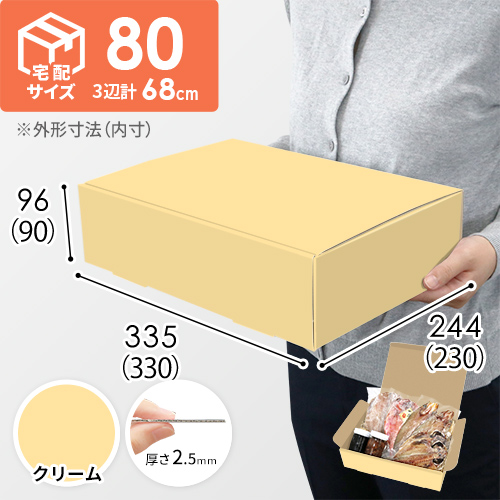 【クリーム色】宅配80サイズ・N式ケース（330×230×90mm・A4サイズ・はっ水加工なし）
