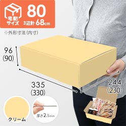 【クリーム色】宅配80サイズ・N式ケース（330×230×90mm・A4サイズ・はっ水加工なし）