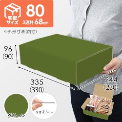 【グリーン色】宅配80サイズ・N式ケース（330×230×90mm・A4サイズ・はっ水加工なし）