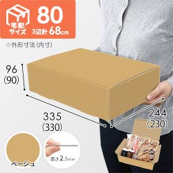 【ベージュ色】宅配80サイズ・N式ケース（330×230×90mm・A4サイズ・はっ水加工なし）