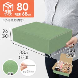 【青菜色】宅配80サイズ・N式ケース（330×230×90mm・A4サイズ・はっ水加工なし）