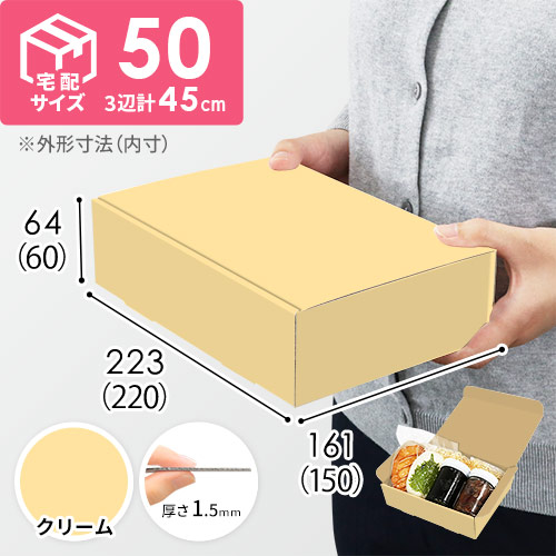 【クリーム色】宅配60サイズ・N式ケース（220×150×60mm・A5サイズ・はっ水加工なし）