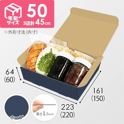 【青色・ホープ】宅配60サイズ・N式ケース（220×150×60mm・A5サイズ・はっ水加工なし）