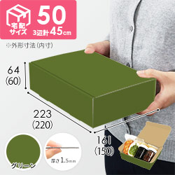 【グリーン色】宅配60サイズ・N式ケース（220×150×60mm・A5サイズ・はっ水加工なし）