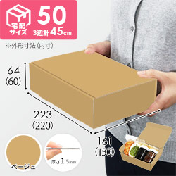 【ベージュ色】宅配60サイズ・N式ケース（220×150×60mm・A5サイズ・はっ水加工なし）