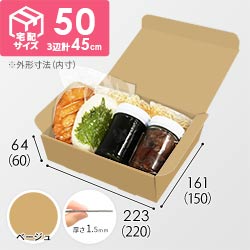 【ベージュ色】宅配60サイズ・N式ケース（220×150×60mm・A5サイズ・はっ水加工なし）