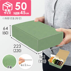 【青菜色】宅配60サイズ・N式ケース（220×150×60mm・A5サイズ・はっ水加工なし）