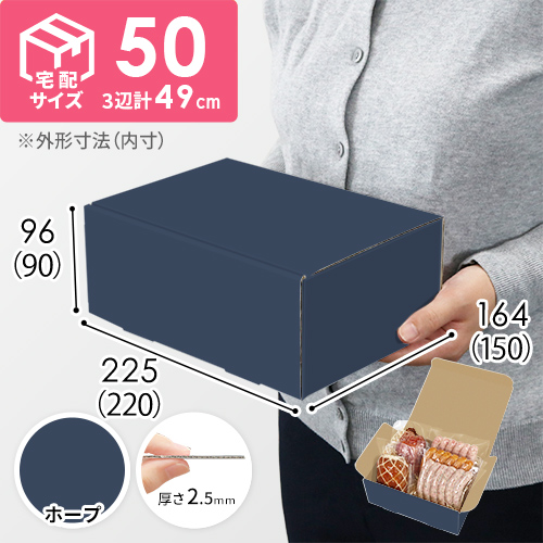 【青色・ホープ】宅配60サイズ・N式ケース（220×150×90mm・A5サイズ・はっ水加工なし）