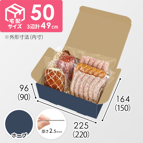 【青色・ホープ】宅配60サイズ・N式ケース（220×150×90mm・A5サイズ・はっ水加工なし）
