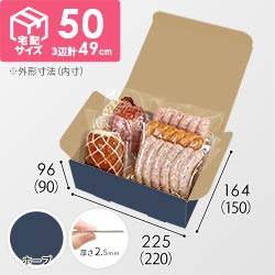 【青色・ホープ】宅配60サイズ・N式ケース（220×150×90mm・A5サイズ・はっ水加工なし）