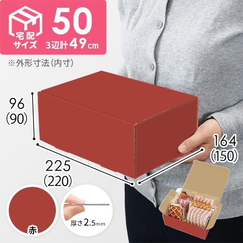 【赤色】宅配60サイズ・N式ケース（220×150×90mm・A5サイズ・はっ水加工なし）