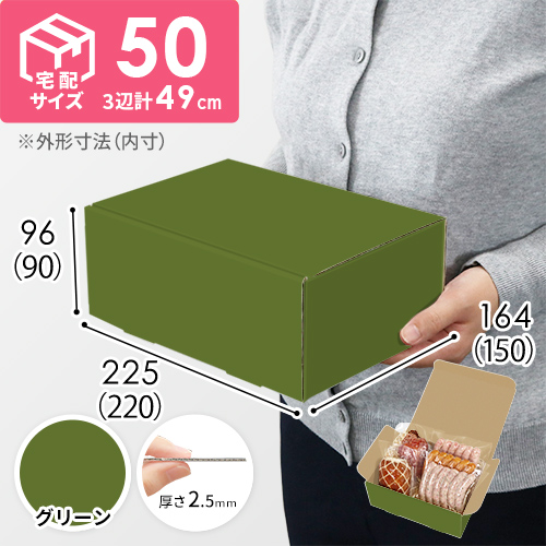 【グリーン色】宅配60サイズ・N式ケース（220×150×90mm・A5サイズ・はっ水加工なし）