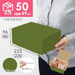 【グリーン色】宅配60サイズ・N式ケース（220×150×90mm・A5サイズ・はっ水加工なし）