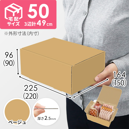 【ベージュ色】宅配60サイズ・N式ケース（220×150×90mm・A5サイズ・はっ水加工なし）