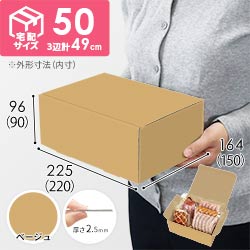 【ベージュ色】宅配60サイズ・N式ケース（220×150×90mm・A5サイズ・はっ水加工なし）