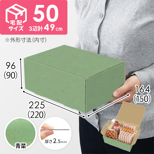 【青菜色】宅配60サイズ・N式ケース（220×150×90mm・A5サイズ・はっ水加工なし）