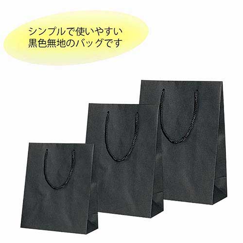手提げ紙袋（黒 ストライプエンボス・ポリエステル紐・幅100×マチ70×高さ120mm）