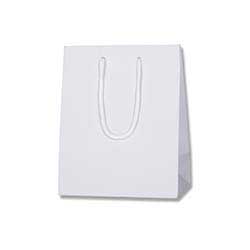 手提げ紙袋（白 塗工・アクリル紐・幅200×マチ120×高さ250mm）