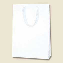 手提げ紙袋（白 ストライプエンボス・ポリエステル紐・幅225×マチ80×高さ320mm）