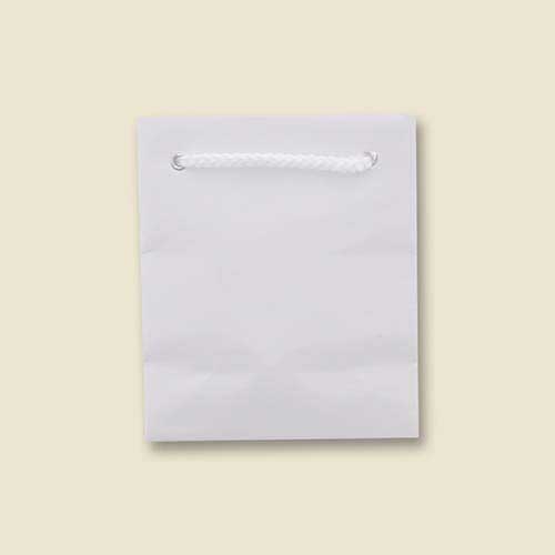手提げ紙袋（白 ツヤあり・PP紐・幅100×マチ70×高さ120mm）