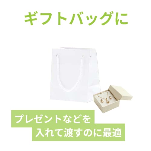 【廃番商品】手提げ紙袋（白 ツヤあり・PP紐・幅100×マチ70×高さ120mm）