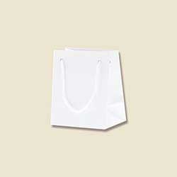 手提げ紙袋（白 ツヤあり・PP紐・幅100×マチ70×高さ120mm）