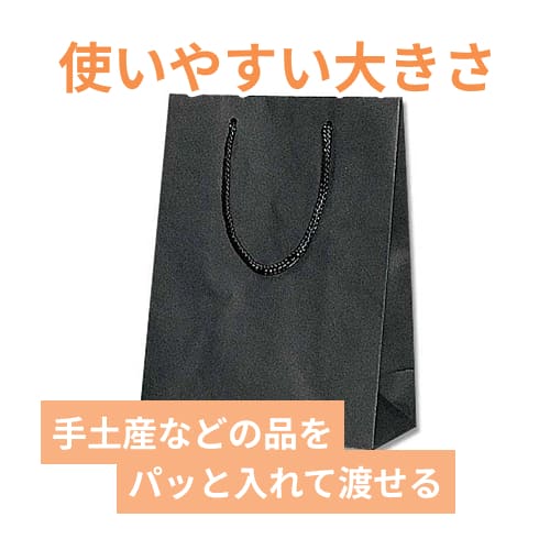 【廃番商品】手提げ紙袋（黒 ストライプエンボス・ポリエステル紐・幅170×マチ85×高さ230mm）