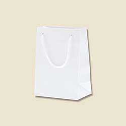 手提げ紙袋（白 ツヤあり・PP紐・幅120×マチ70×高さ165mm）