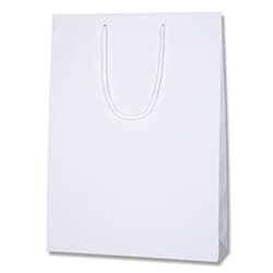 手提げ紙袋（白 塗工・アクリル紐・幅330×マチ100×高さ450mm）